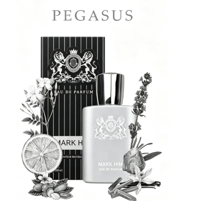 100ml MARK HIM Perfumy Męskie  – Perfume Alcohol Fragrance recenzja i cena