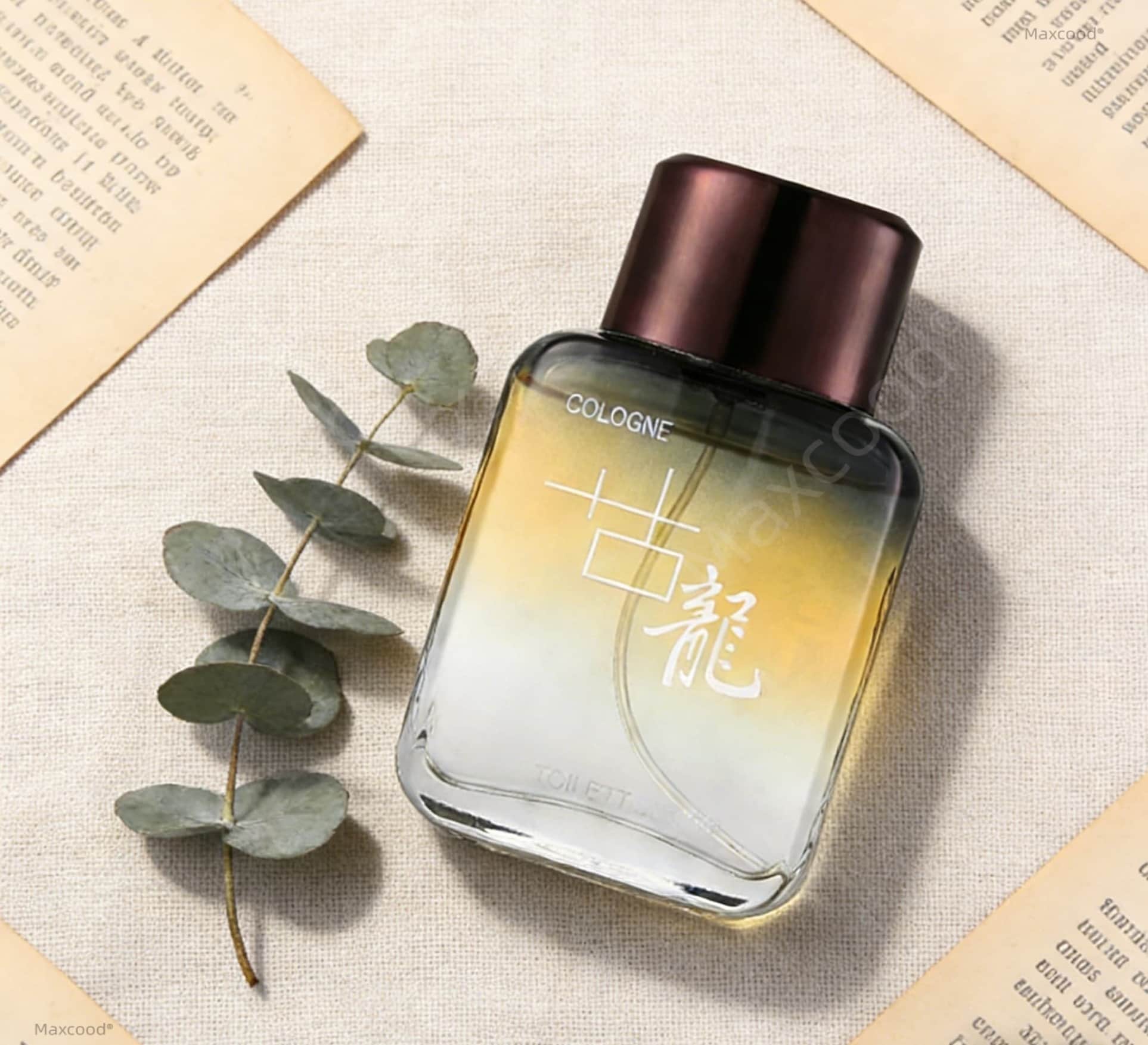 Maxcood A Citrus Męski Perfumo – Fragrance Perfume For Man recenzja i cena